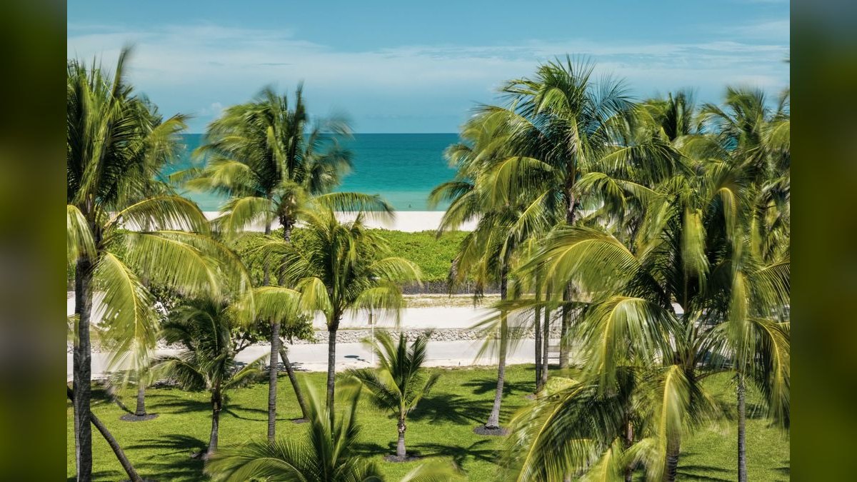 What should I look for in a fractional CRO in Florida — figure 1