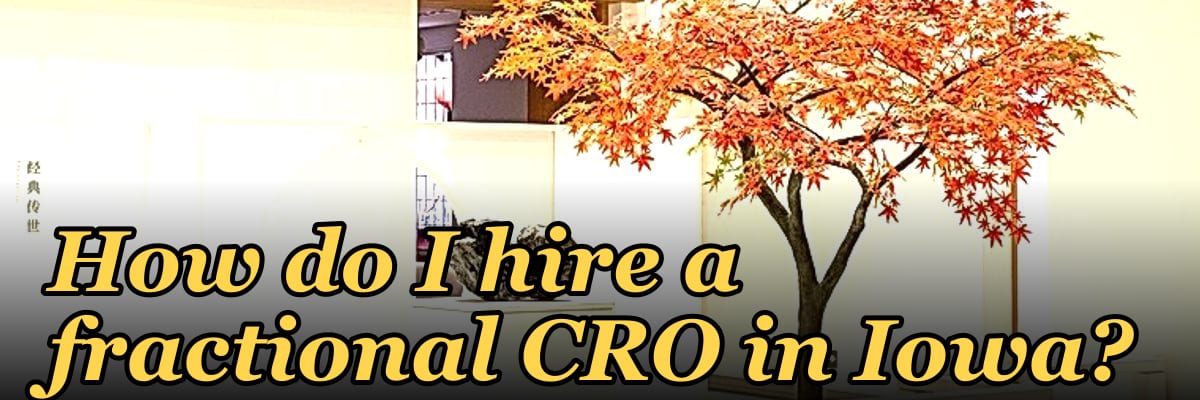 How do I hire a fractional CRO in Iowa in 2027?