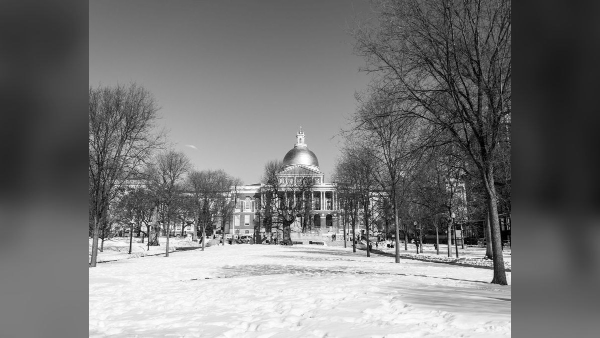 What should I look for in a fractional CRO in Massachusetts — figure 2