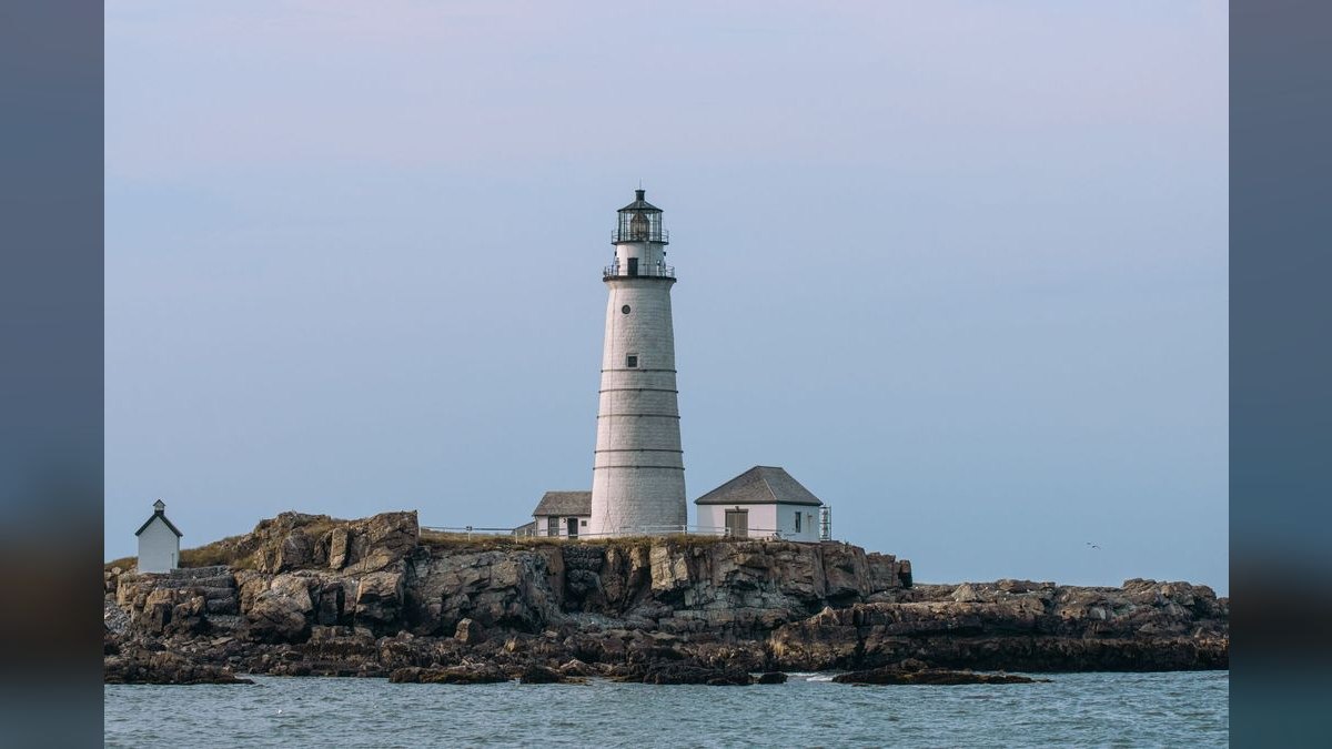 What should I look for in a fractional CRO in Massachusetts — figure 4