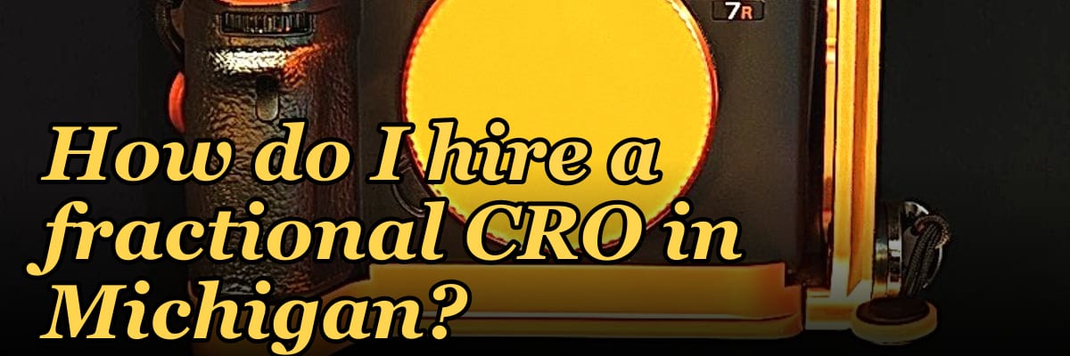 How do I hire a fractional CRO in Michigan in 2027?