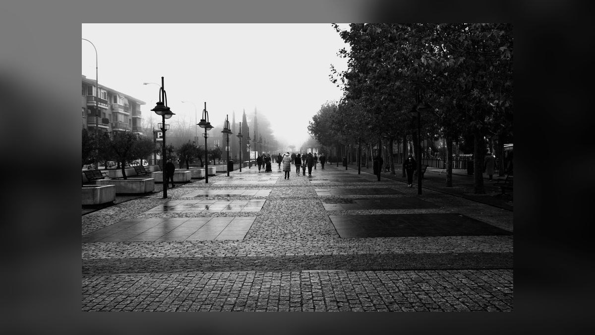 Where do I find a fractional CRO in Nebraska — figure 6