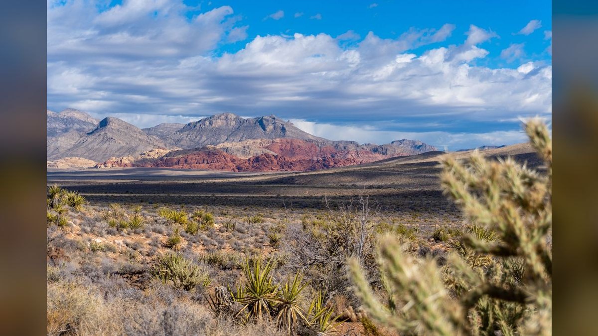 What should I look for in a fractional CRO in Nevada — figure 2