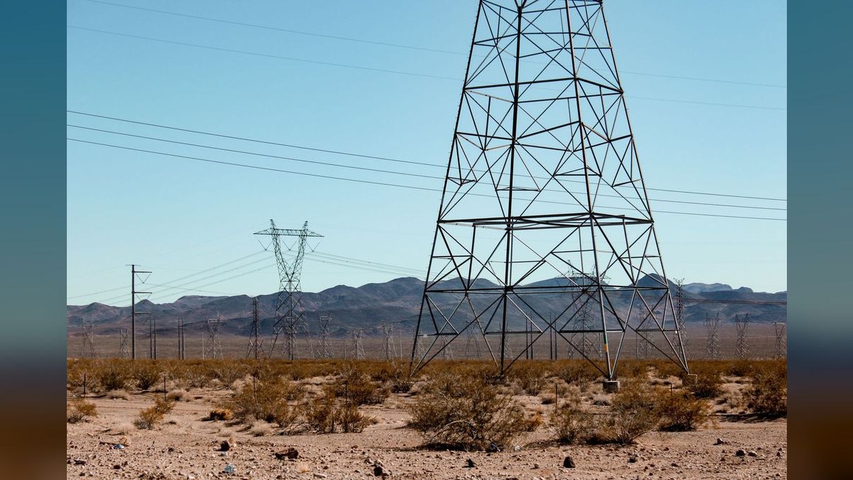 What should I look for in a fractional CRO in Nevada — figure 6