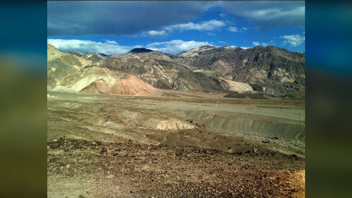 What should I look for in a fractional CRO in Nevada in 2027?