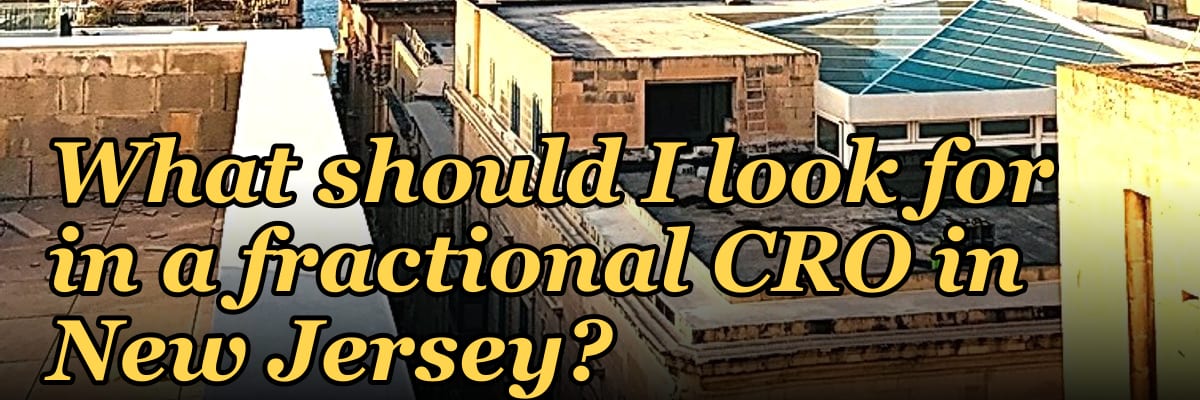 What should I look for in a fractional CRO in New Jersey in 2027?