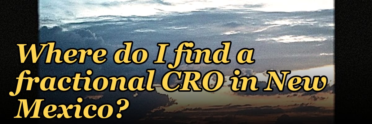 Where do I find a fractional CRO in New Mexico in 2027?