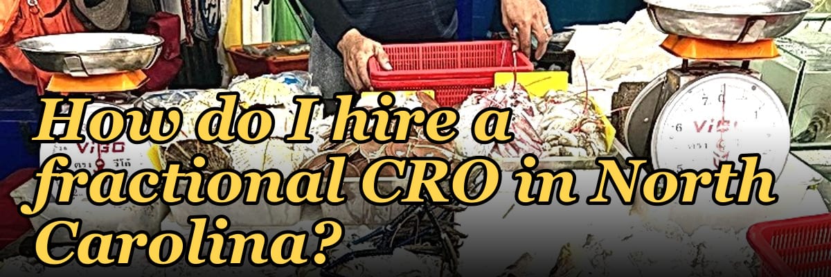How do I hire a fractional CRO in North Carolina in 2027?
