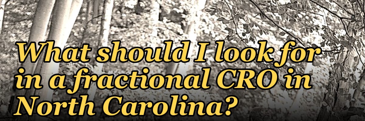 What should I look for in a fractional CRO in North Carolina in 2027?