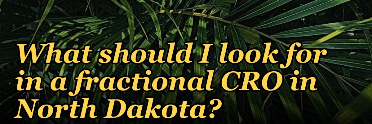 What should I look for in a fractional CRO in North Dakota in 2027?