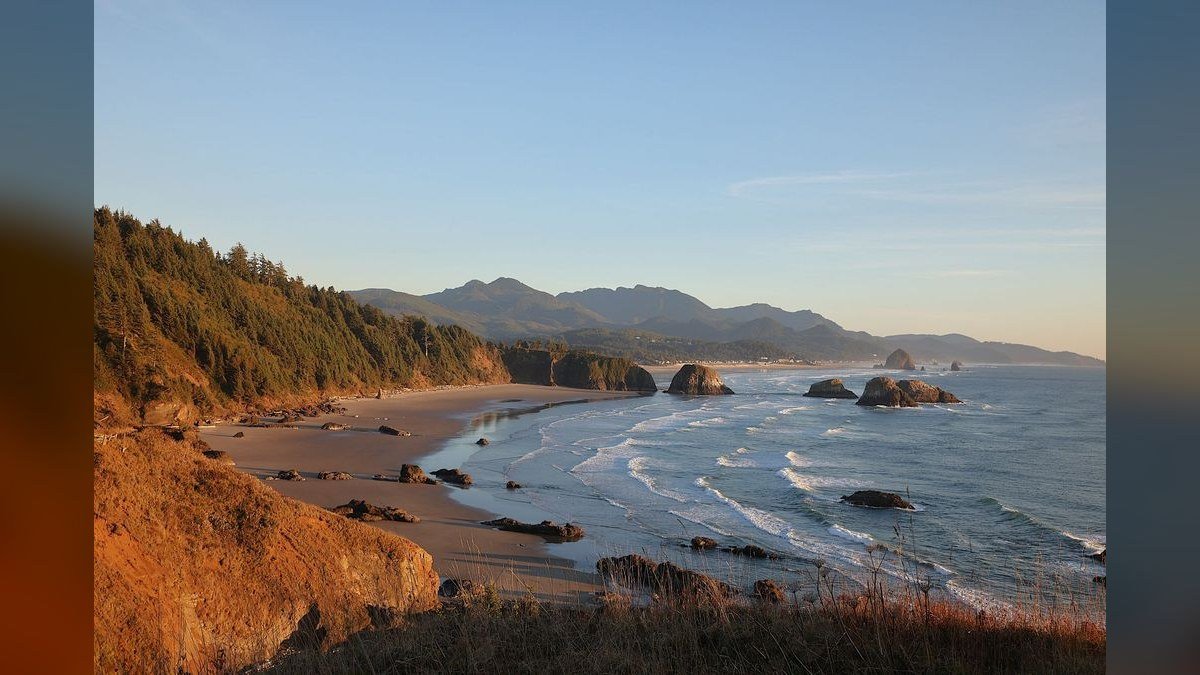 How do I hire a fractional CRO in Oregon in 2027?