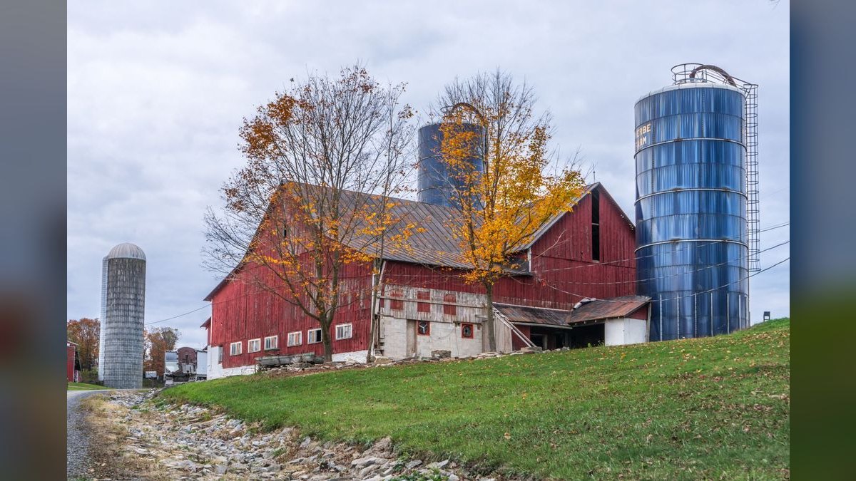 How do I hire a fractional CRO in Pennsylvania — figure 1