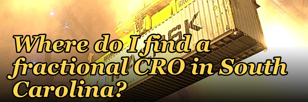Where do I find a fractional CRO in South Carolina in 2027?
