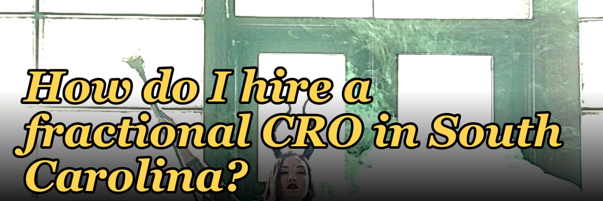 How do I hire a fractional CRO in South Carolina in 2027?