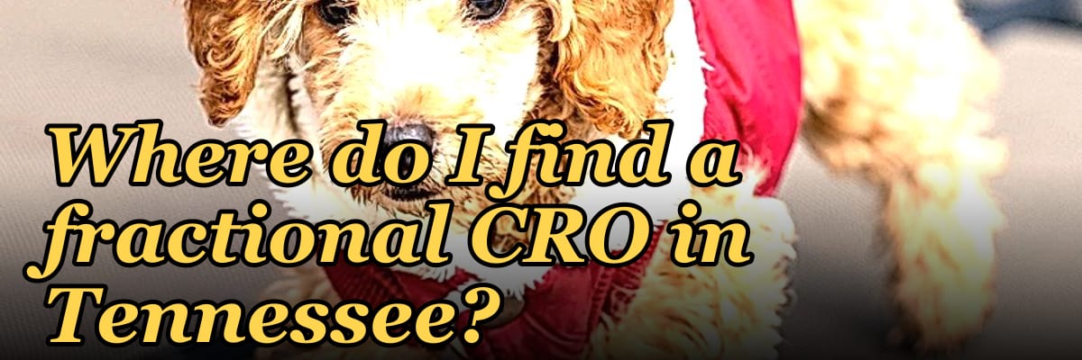 Where do I find a fractional CRO in Tennessee in 2027?
