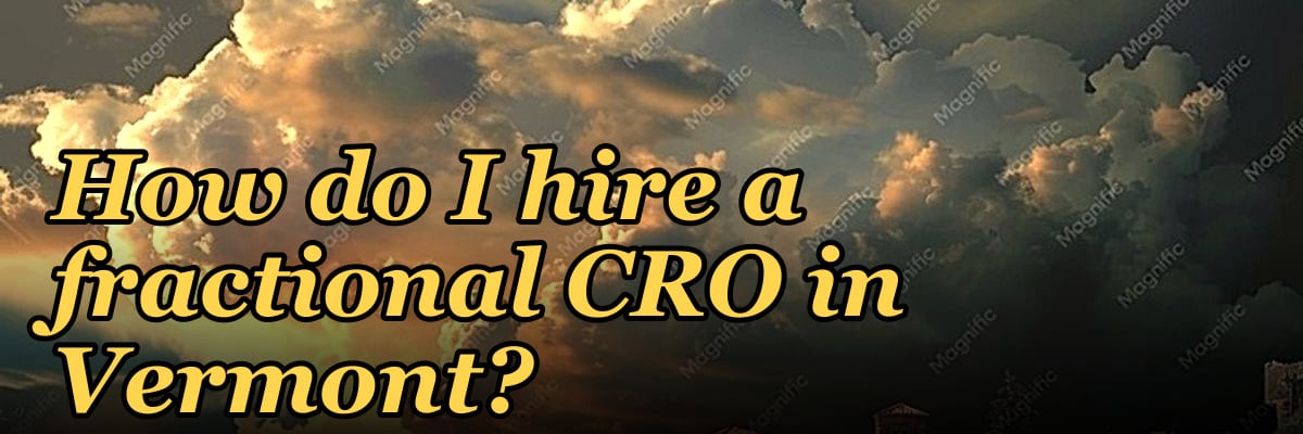 How do I hire a fractional CRO in Vermont in 2027?