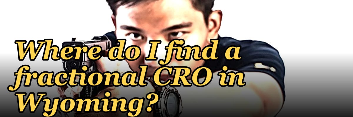 Where do I find a fractional CRO in Wyoming in 2027?