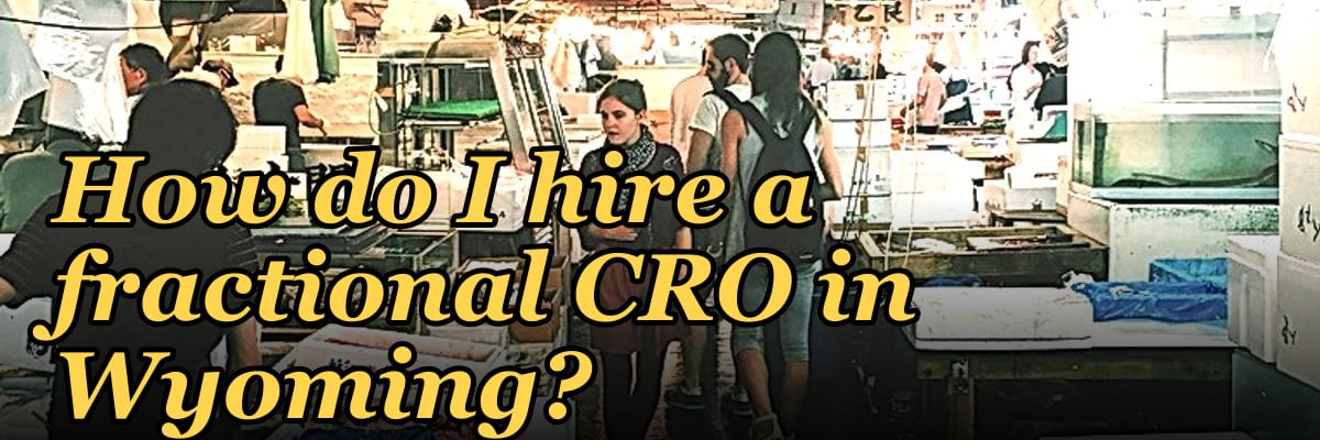 How do I hire a fractional CRO in Wyoming in 2027?