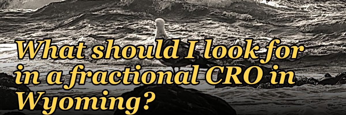 What should I look for in a fractional CRO in Wyoming in 2027?
