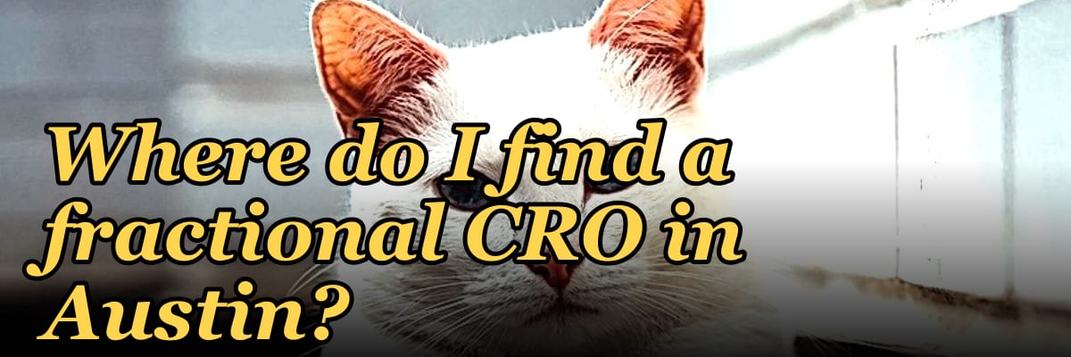 Where do I find a fractional CRO in Austin in 2027?