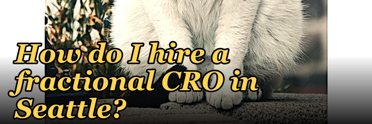 How do I hire a fractional CRO in Seattle in 2027?