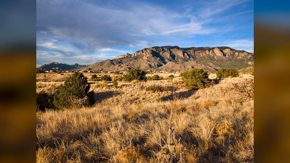 How do I hire a fractional CRO in Albuquerque — figure 3