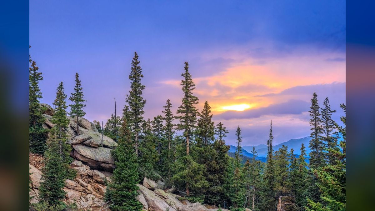 How do I hire a fractional CRO in Colorado Springs — figure 4