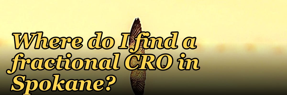 Where do I find a fractional CRO in Spokane in 2027?