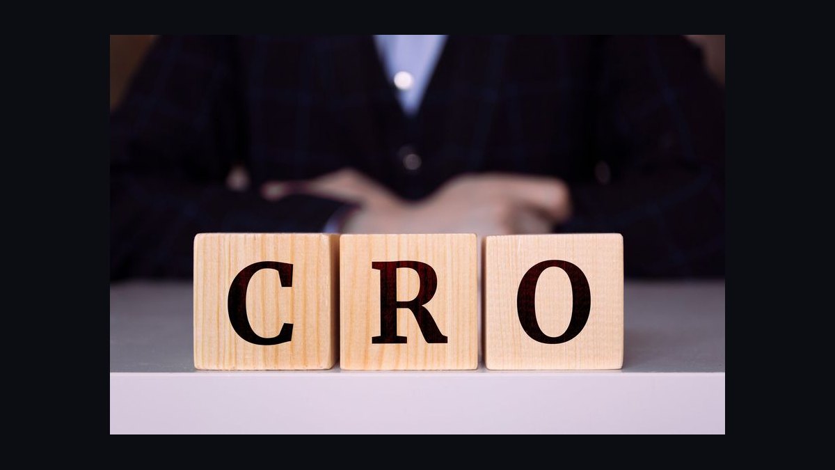 How do I hire a fractional CRO in Madison in 2027 — figure 6