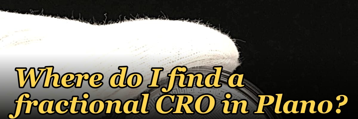 Where do I find a fractional CRO in Plano in 2027?