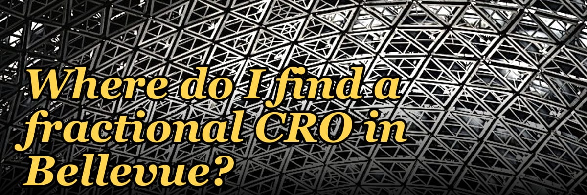 Where do I find a fractional CRO in Bellevue in 2027?