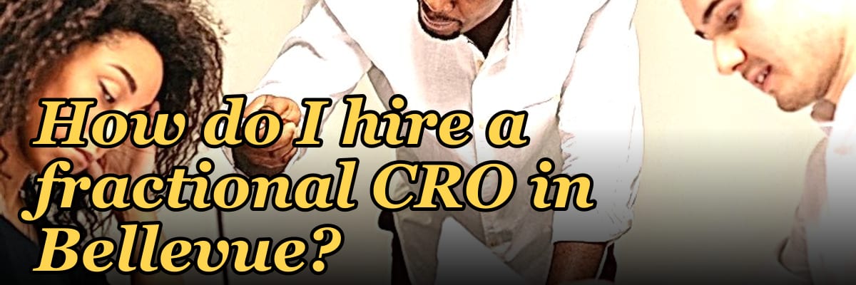 How do I hire a fractional CRO in Bellevue in 2027?