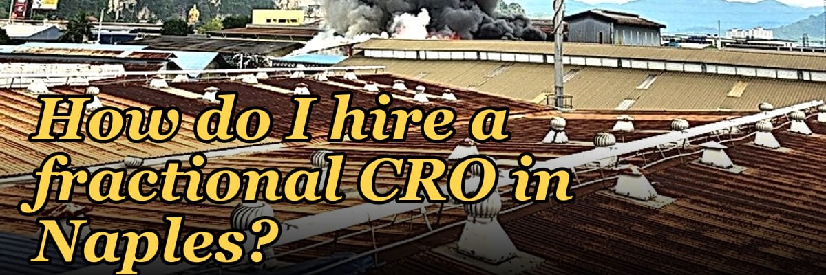 How do I hire a fractional CRO in Naples in 2027?