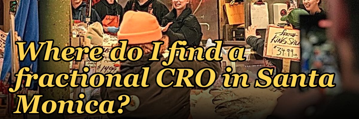 Where do I find a fractional CRO in Santa Monica in 2027?