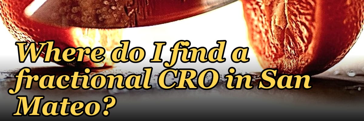 Where do I find a fractional CRO in San Mateo in 2027?