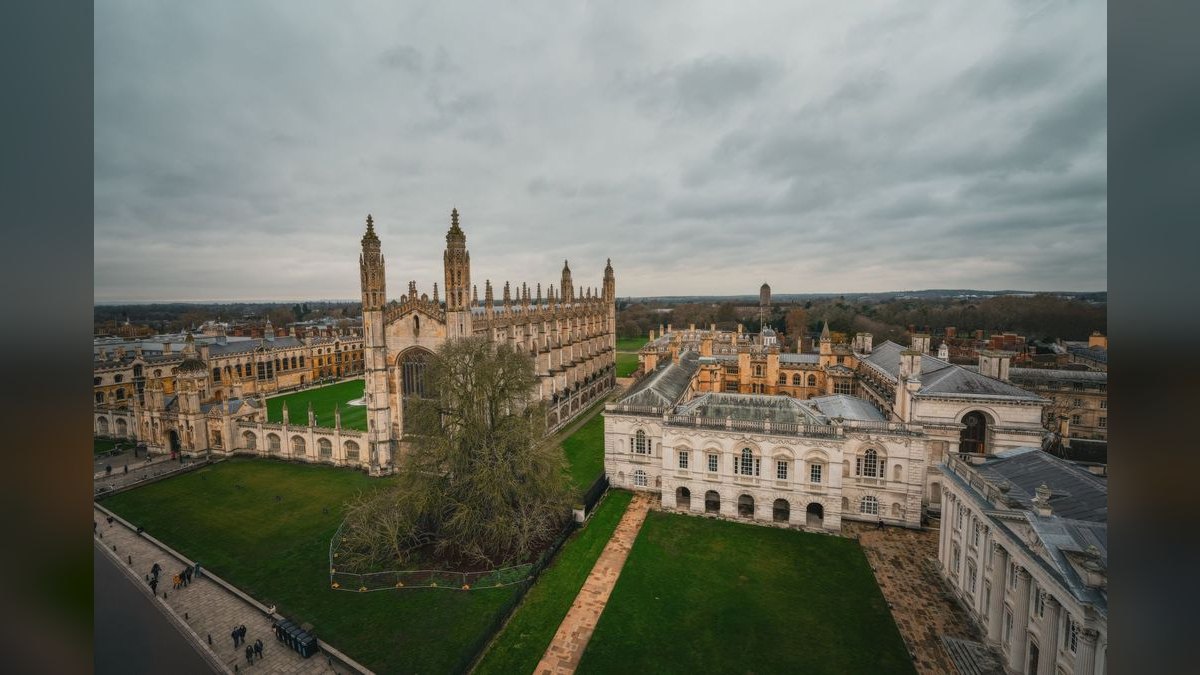How do I hire a fractional CRO in Cambridge — figure 3