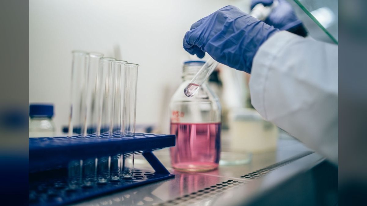 What does a fractional CRO do for a biotech business — figure 2