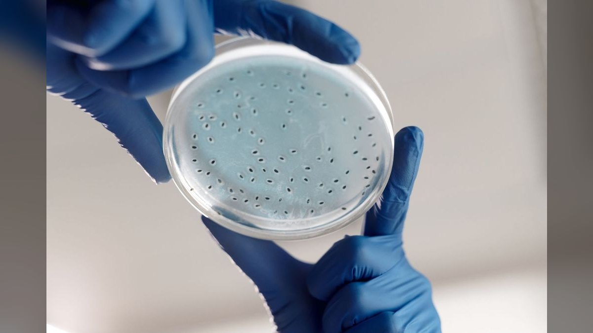 What does a fractional CRO do for a biotech business in 2027?