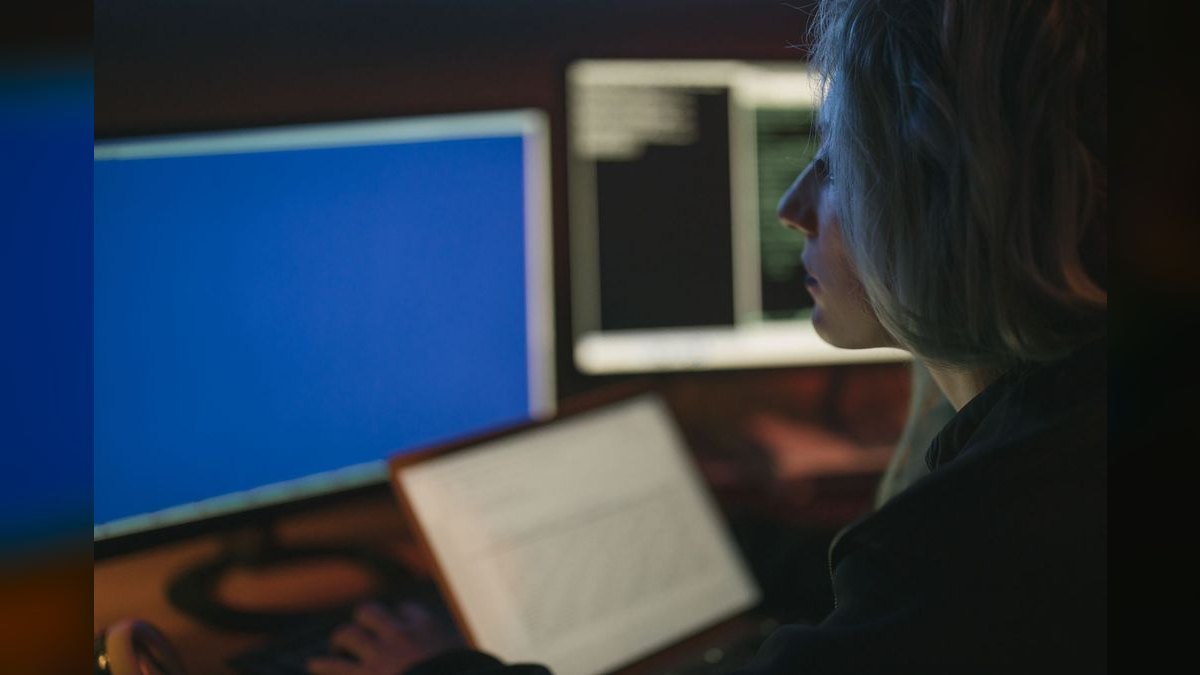 What does a fractional CRO do for a cybersecurity business — figure 3