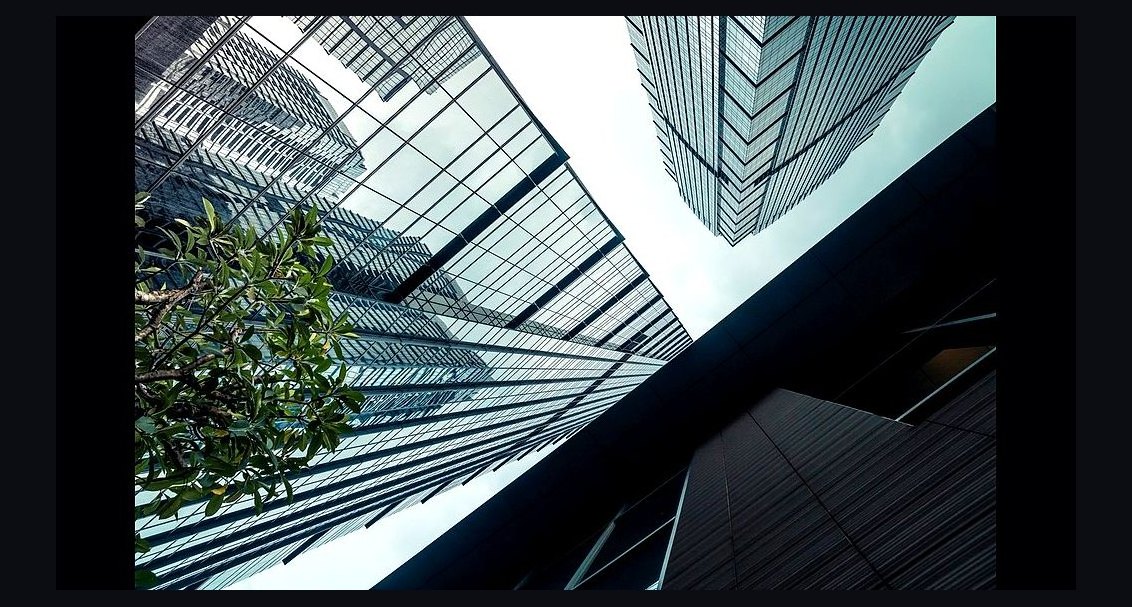 What does a fractional CRO do for a logistics business in 2027?