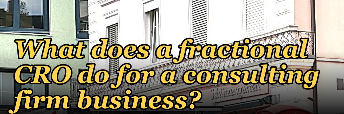 What does a fractional CRO do for a consulting firm business in 2027?