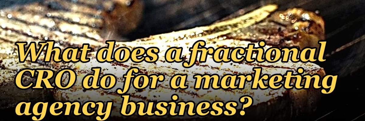 What does a fractional CRO do for a marketing agency business in 2027?