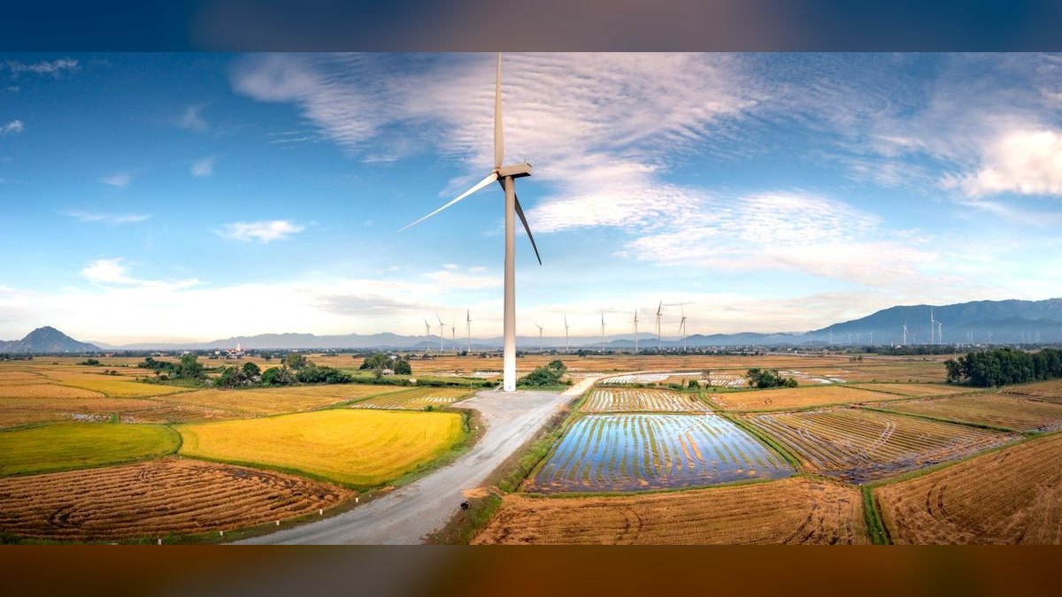 What does a fractional CRO do for a clean energy business — figure 2