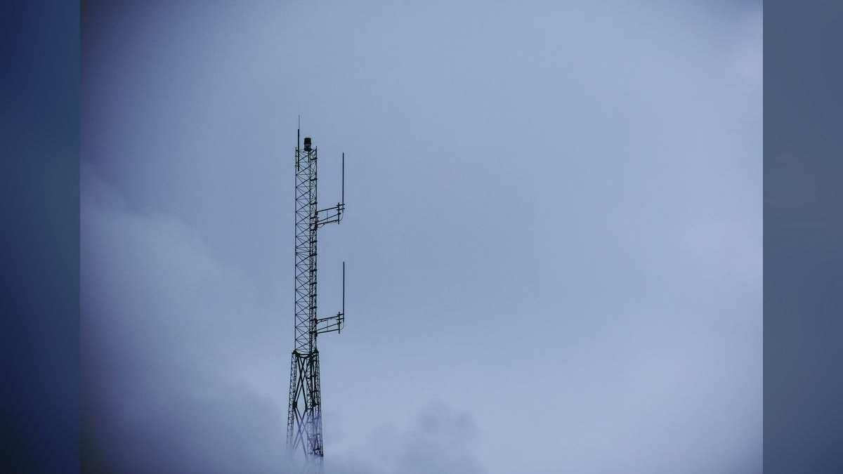 What does a fractional CRO do for a telecom business — figure 1