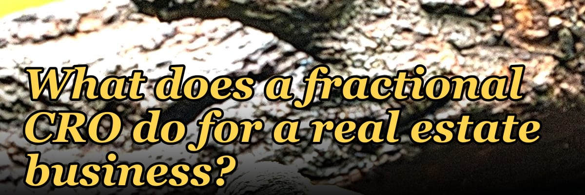 What does a fractional CRO do for a real estate business in 2027?