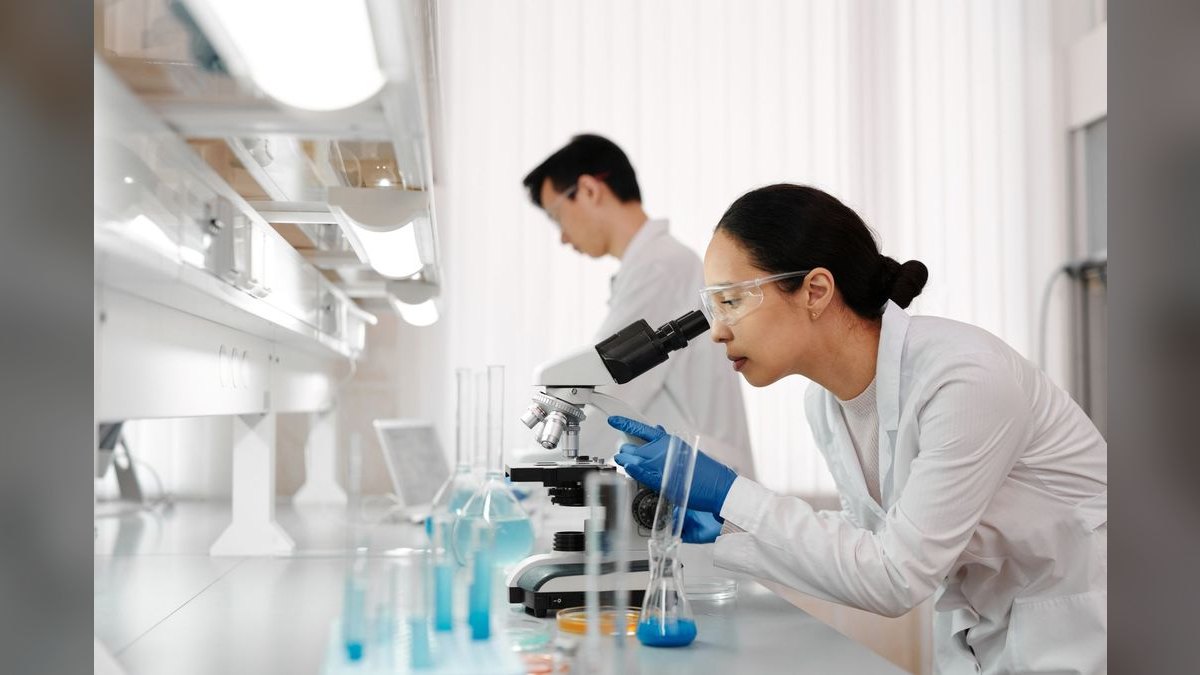 What does a fractional CRO do for a life sciences business — figure 2