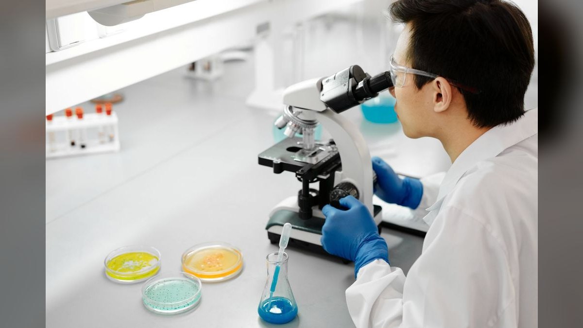 What does a fractional CRO do for a life sciences business — figure 3