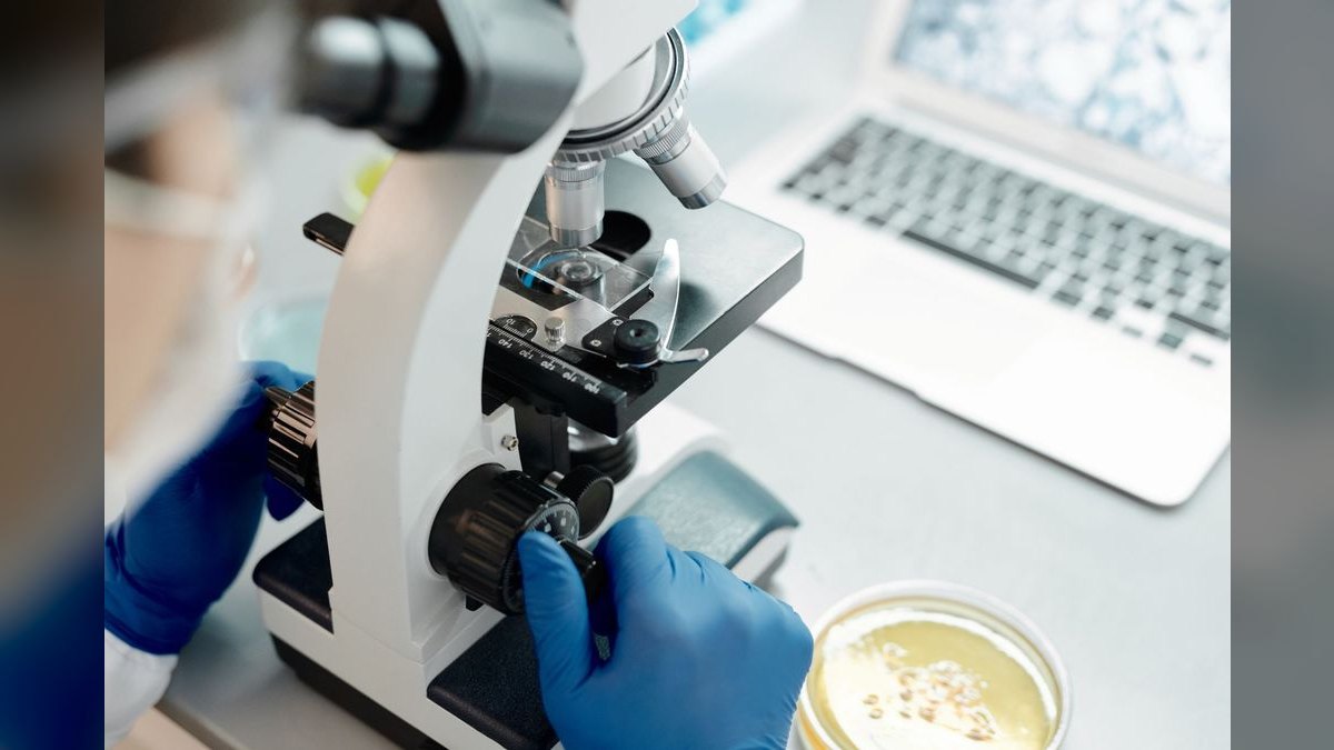 What does a fractional CRO do for a life sciences business — figure 4