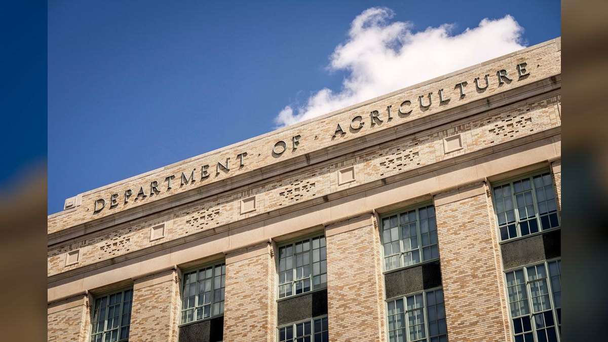 What does a fractional CRO do for a government contracting business — figure 1
