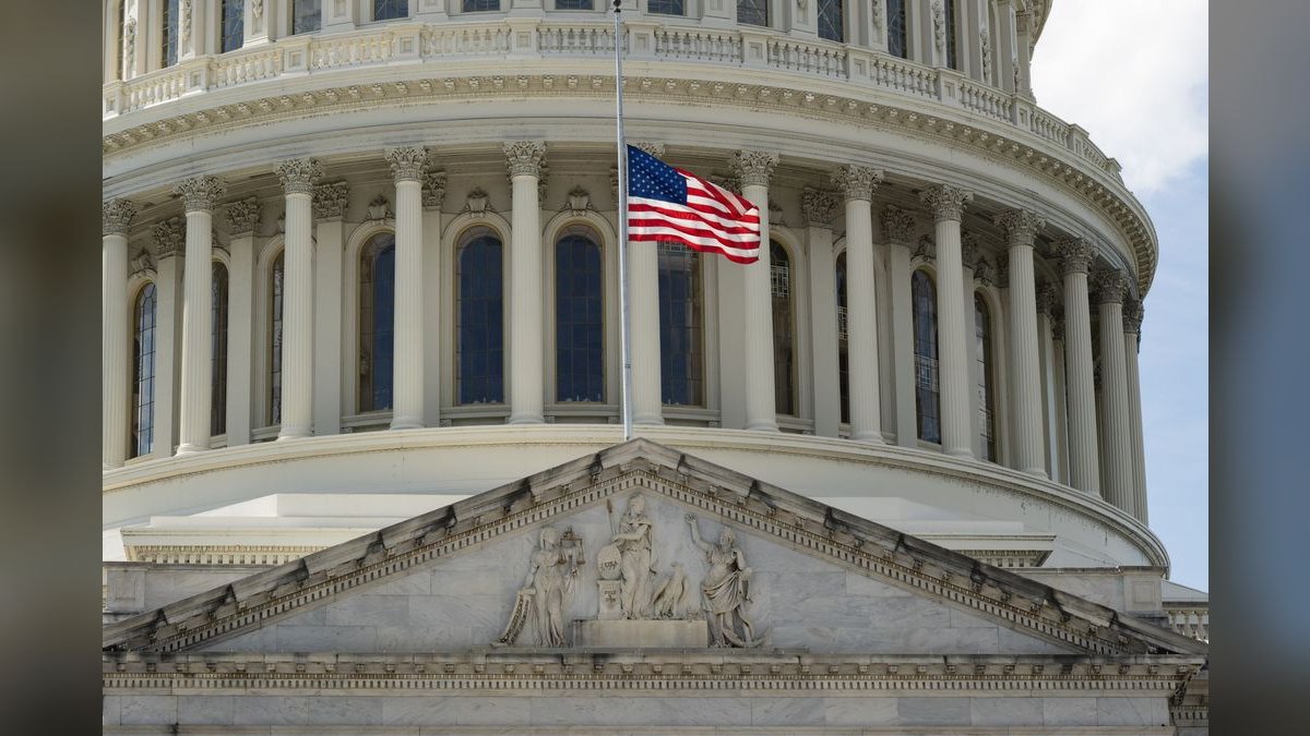 What does a fractional CRO do for a government contracting business — figure 4